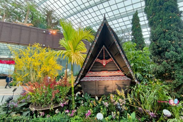 Orchid Extravaganza Flower Dome