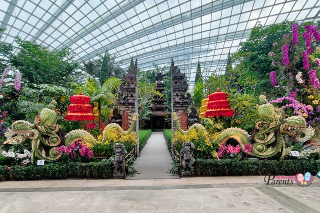 Orchid Extravaganza Rhythm of the Rainforest