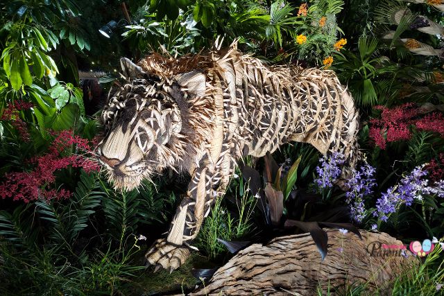 Orchid Extravaganza Sumatran tiger