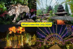 TNAP Highlights: What’s new in Singapore July 2026 TNAP Highlights: What’s new in Singapore July 2026