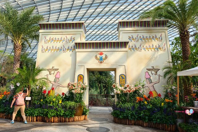 Lilytopia Floral Display Egpyt