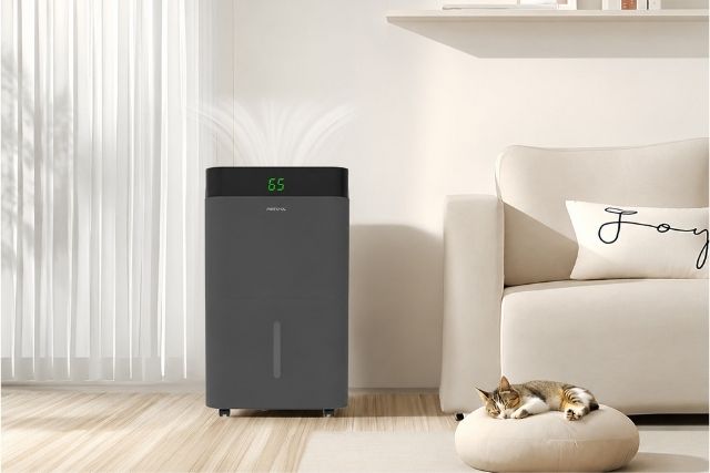 Mistral ÉlanPure Dehumidifier