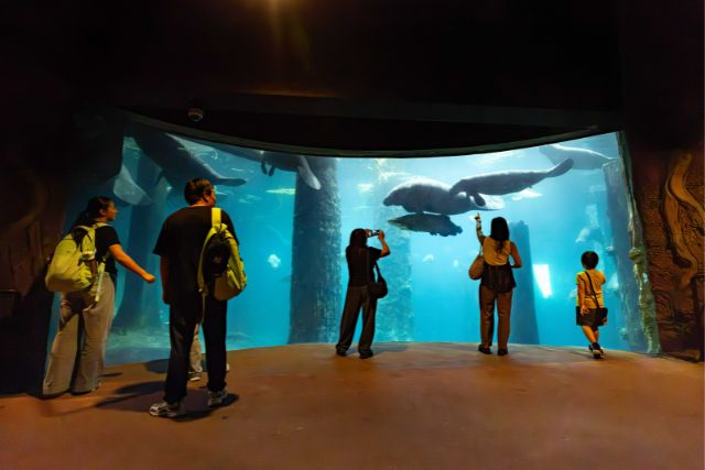 Mandai Wildlife Reserve – A wilder way to celebrate Singapore this National Day
