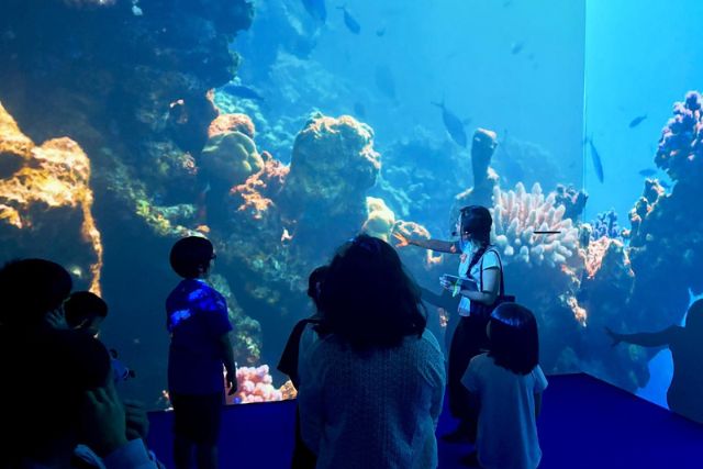 ArtScience Museum Into the Ocean Kids' Tour