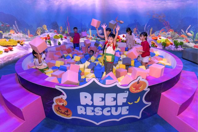Curiosity Cove Halloween event