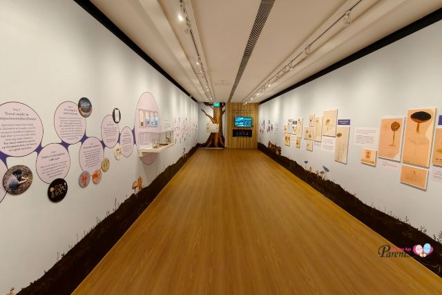 Funtastical World of Fungi exhibition