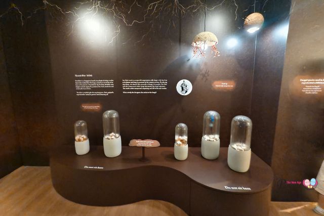 Funtastical World of Fungi