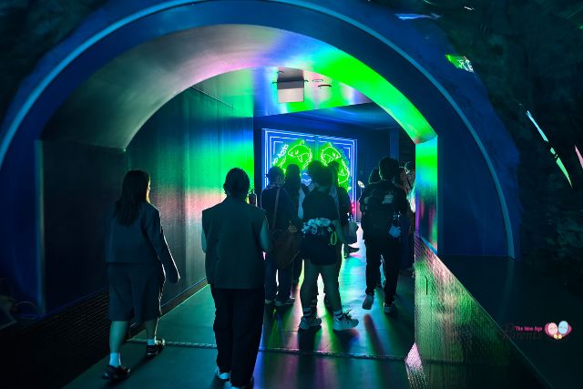 Into the Glowcean Singapore Oceanarium