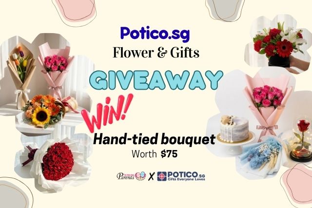 Potico FB Giveaway