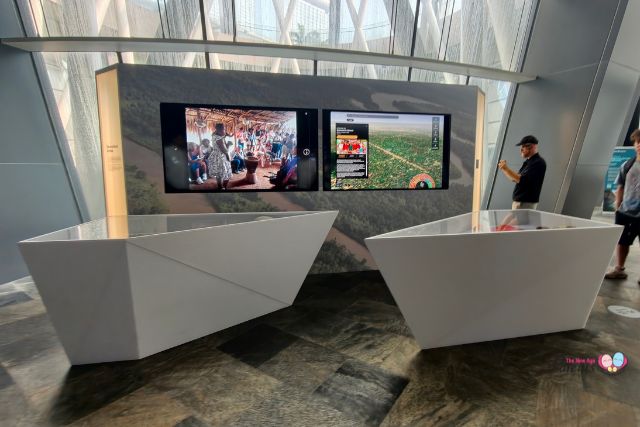 In the Ether ArtScience Museum